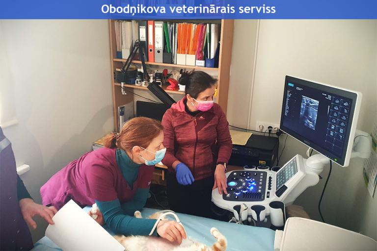 Obodņikova veterinārais serviss