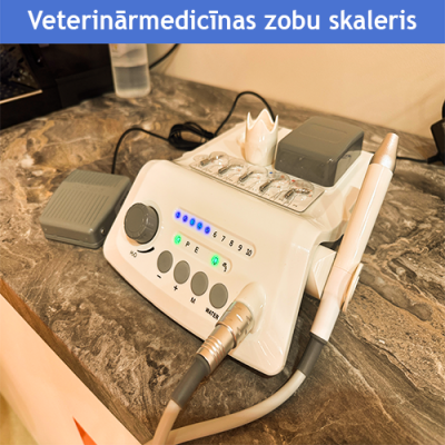 Veterinārmedicīnas zobu skaleris