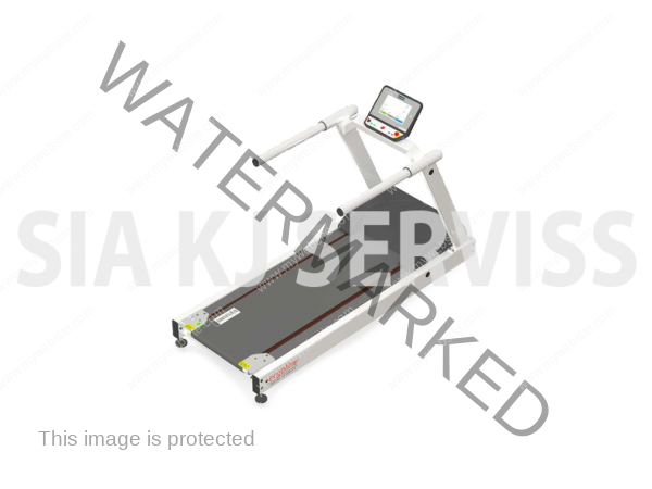 Skrejceļš Ergosprint T